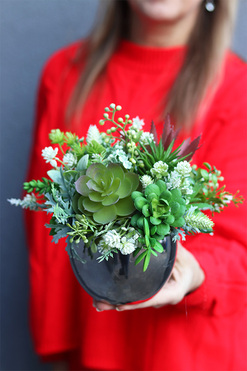 Green Toro Mini, kompozycja sukulenty w lustrzanej donicy, wym.19x22cm 