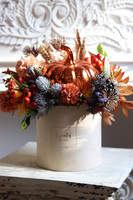 Dynia Glitter Velvet, jesienny flowerbox dekoracyjny