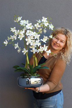 Nemmita Pompadour Silver, gumowy storczyk w srebrnej misie, wys.69cm