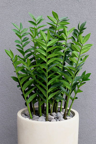 Zamiokulkas Concrete, sztuczne drzewko w betonowej donicy