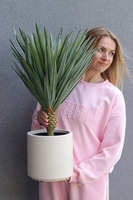 Jukka Figaro S sztuczna roślina drzewko