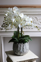 Pióra, storczyk w ceramicznej misie