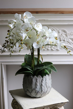 Pióra, storczyk w ceramicznej misie, wys.76cm