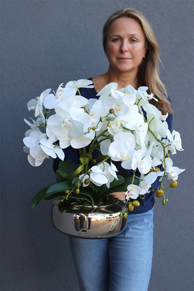 Pompadour Silver 2, efektowny storczyk w srebrnej misie