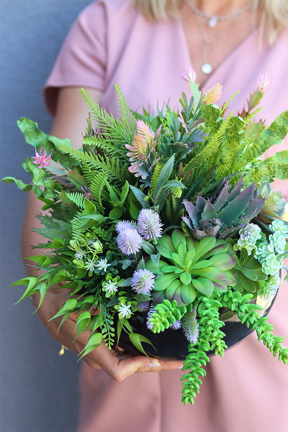 Suculentia, kompozycja sukulenty w okrągłej donicy