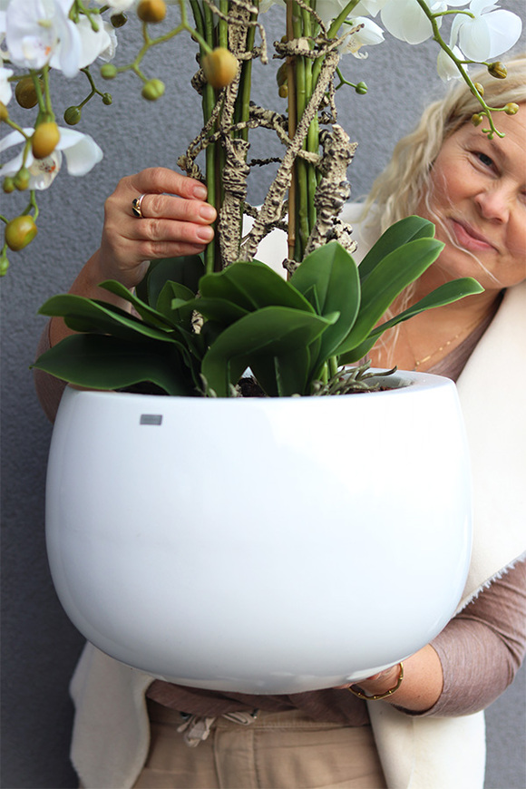 Fiberglass Grande Baloo White, sztuczny storczyk w donicy