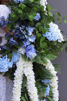 Belledia Premiosa, girlanda z białymi i niebieskimi kwiatami