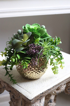 Eco Gestree, kompozycja sukulenty w złotej donicy, wys.18cm