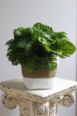 Monstera Boho Basket, drzewko sztuczne w donicy, wys.37cm