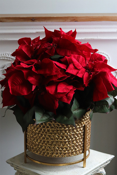 Gwiazda Betlejemska Pucharina, sztuczna roślina w donicy