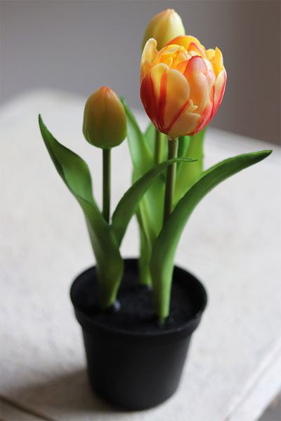 kompozycja z gumowych tulipanów w doniczce