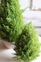 Cyprys (mniejszy), choinka sztuczna w doniczce, wys.43cm