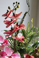 Lucille Goldenario, kompozycja ze storczykiem w wazonie