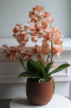 OD RĘKI Selania Brown, sztuczny storczyk, wys.55cm