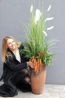 Brefera Design, wysokiej jakości sztuczna trawa w donicy