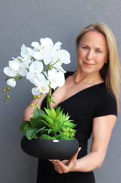 Kleneta Black, storczyk & sukulenty w czarnej misie,wys.54cm 