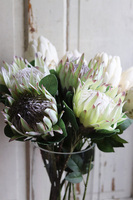 ekskluzywny bukiet w szklanym wazonie, Protea, wys.78cm