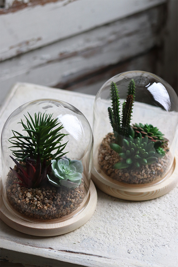 Glasso Sukulenty, ogród w szkle, wym.16x14cm