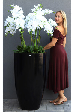 Fiberglass Black Grande Felice 2, ogromny storczyk w donicy, wys.176cm