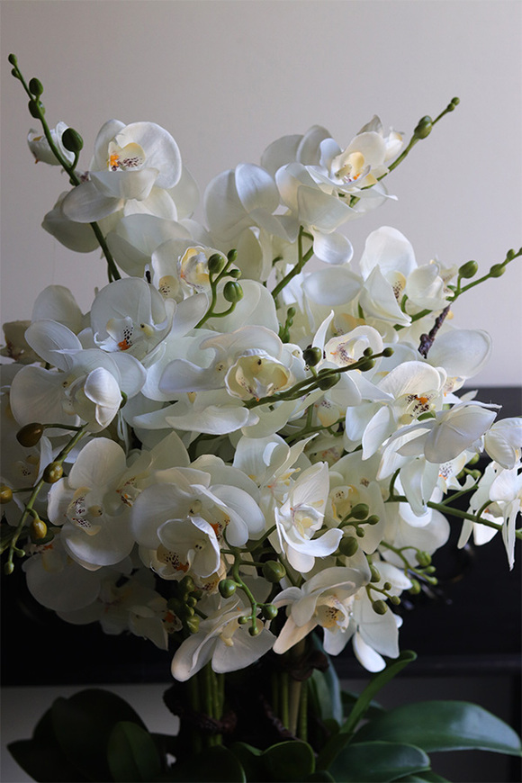 Padwa Blue, sztuczny storczyk w niebieskiej donicy na stojaku