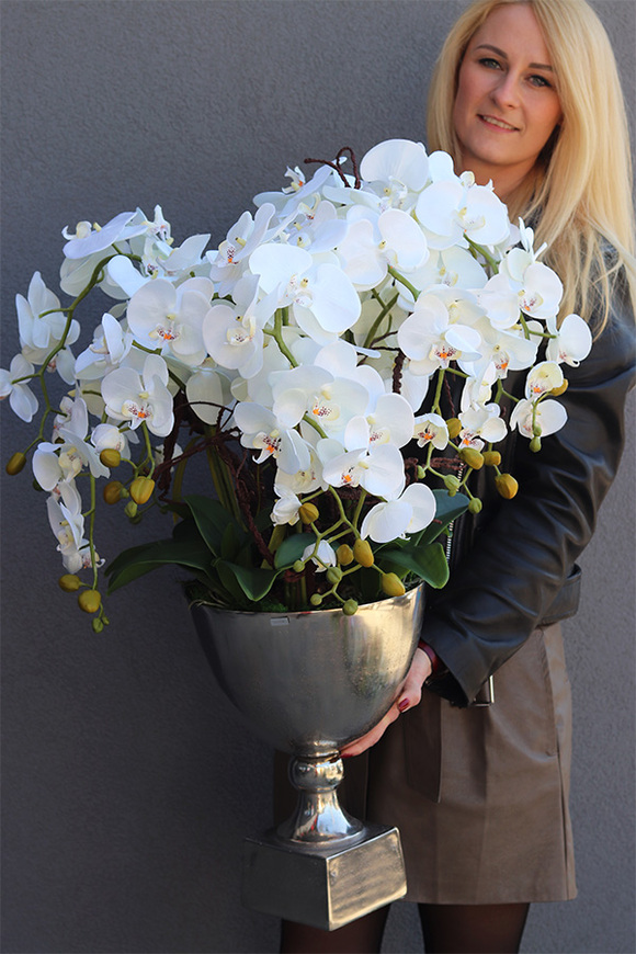 elegancki storczyk w pucharze, Pucharro, wys.86cm 