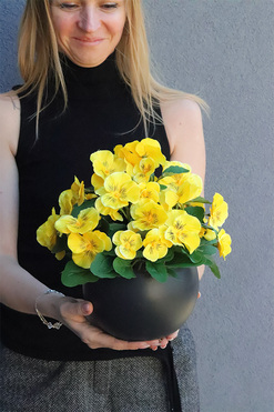 Bratki Yellow, żółte bratki w naczyniu, wys.28cm 