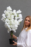 Kwitnąca Wiśnia, sztuczna roślina w doniczce, biała