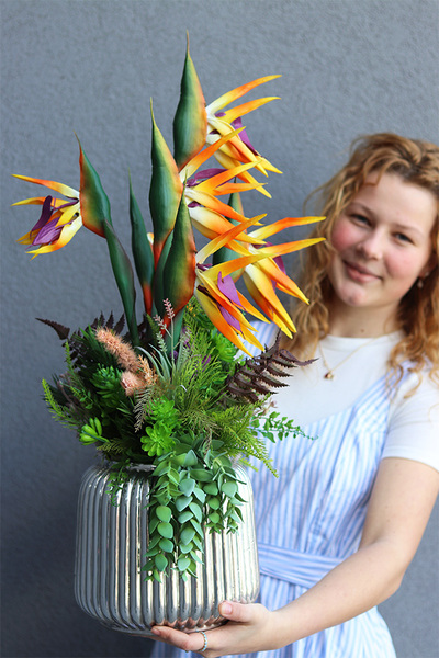 Strelicja Premium Hilton, kompozycja w srebrnej donicy