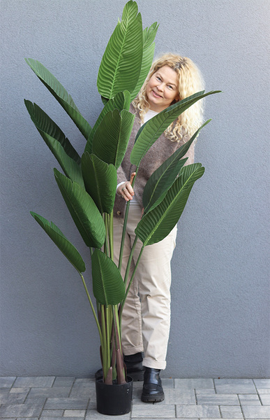 Strelicja Zielona, wysokiej jakości sztuczna roślina