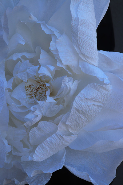 Paper Flower K, ręcznie robiony kwiat papierowy, wym.42x19cm