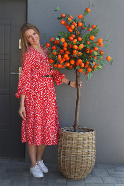 OD RĘKI Mandarynka Basket, sztuczne drzewko owocowe w koszu, wym.185cm