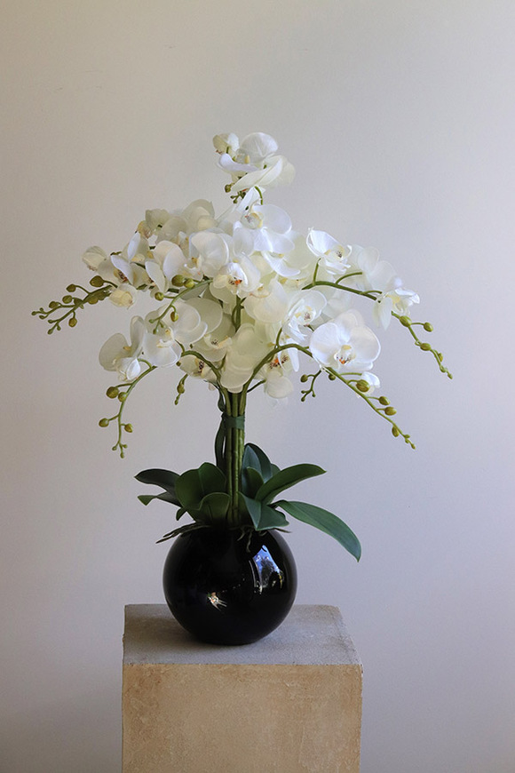 Globe, storczyk w czarnej donicy kuli