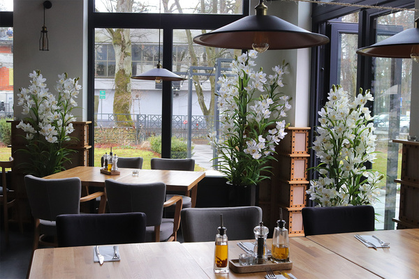 Ambasador Grande Fiberglass, duży storczyk w czarnej donicy