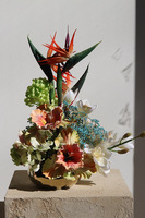 Strelicja Piano Gold, egzotyczna kompozycja w misie