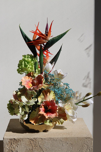 Strelicja Piano Gold, egzotyczna kompozycja w misie