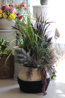 Simplata, sztuczna trawa w koszu z ziołami