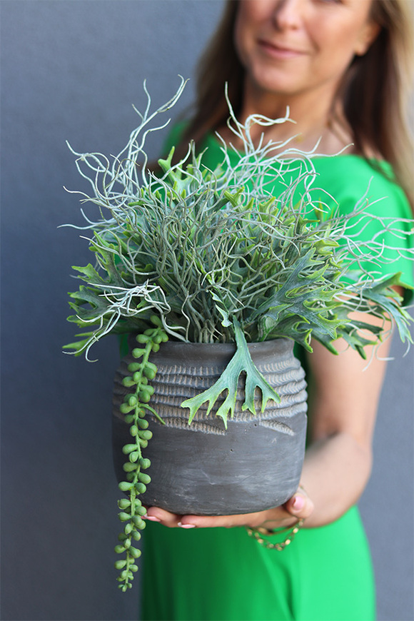 Memo, kompozycja sukulenty w donicy etno