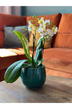 Vintage Round, osłonka ceramiczna doniczka, zielony, wym.13x15cm