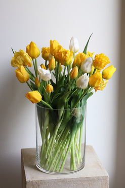 Glassier Tulips, wielkanocna kompozycja kwiatowa w szkle, wys.50cm