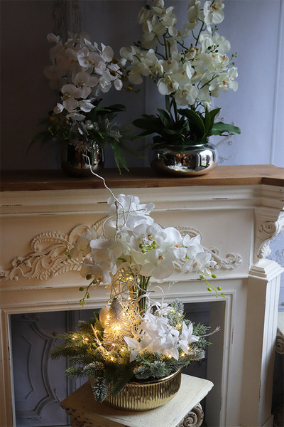 Winter Time Deluxe, elegancki storczyk zimowy LED