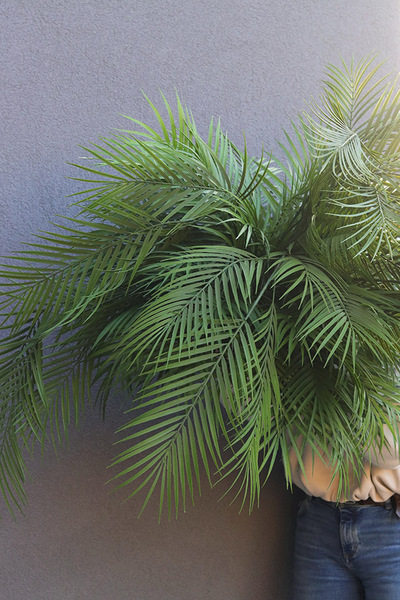 Areca Gold, kompozycja palma na stojaku