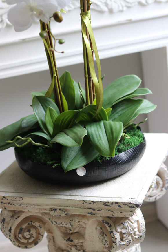 Nero Tallia, sztuczny storczyk w czarnej misie