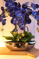 Laos Deep Ocean Blue, sztuczny storczyk w lustrzanej donicy