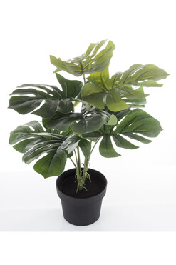 Monstera B, sztuczne drzewko w osłonce / donicy, wym.55x40x40cm