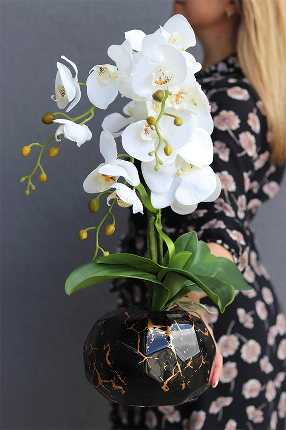 Black & Gold Abigail, storczyk w złoto-czarnej donicy, wys.50cm