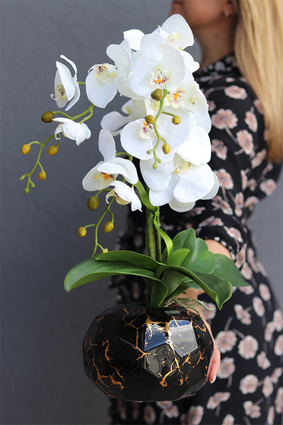 Black & Gold Abigail, storczyk w złoto-czarnej donicy, wys.50cm