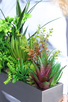 Suculenti Steel Modern, dekoracja zielona w stalowej donicy