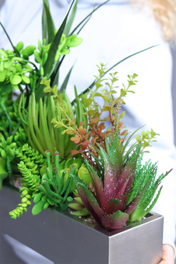Suculenti Steel Modern, sukulenty w stalowej donicy, wym.47x50cm 