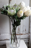 ekskluzywny bukiet w szklanym wazonie, Protea, wys.78cm