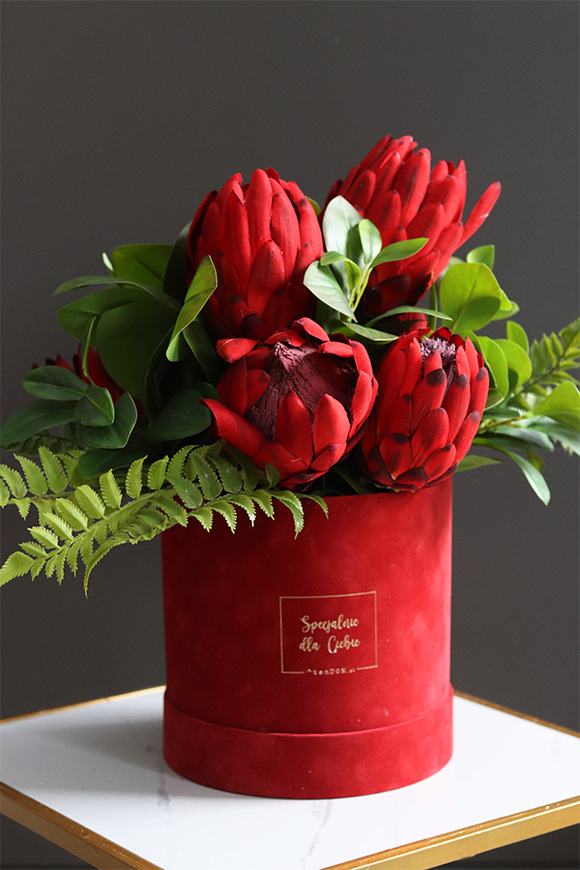 Czerwone Love, flowerbox na walentynki z proteą